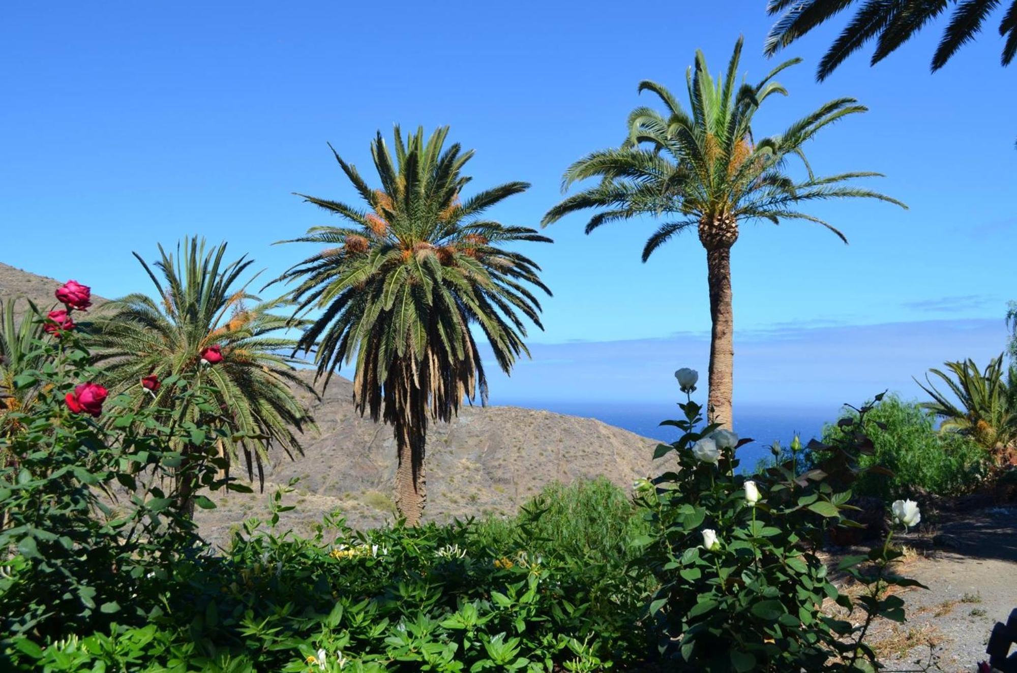 Finca Ossorio Casa Rita Vallehermoso Luaran gambar